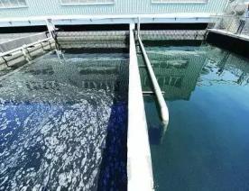深度凈化污水 
